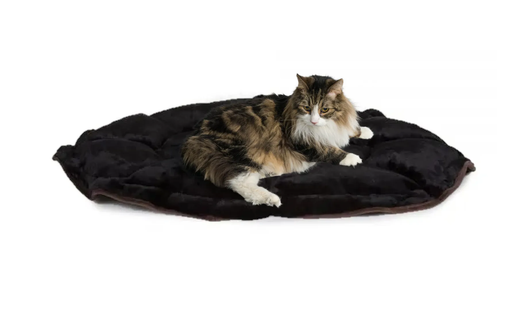 3-in-1 Lily Pad Convertible Lounger - NEW!!!