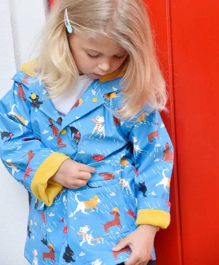 Cats & Dogs Raincoat