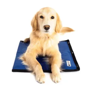CoolerDog Hydro Cooling Mat for Dogs