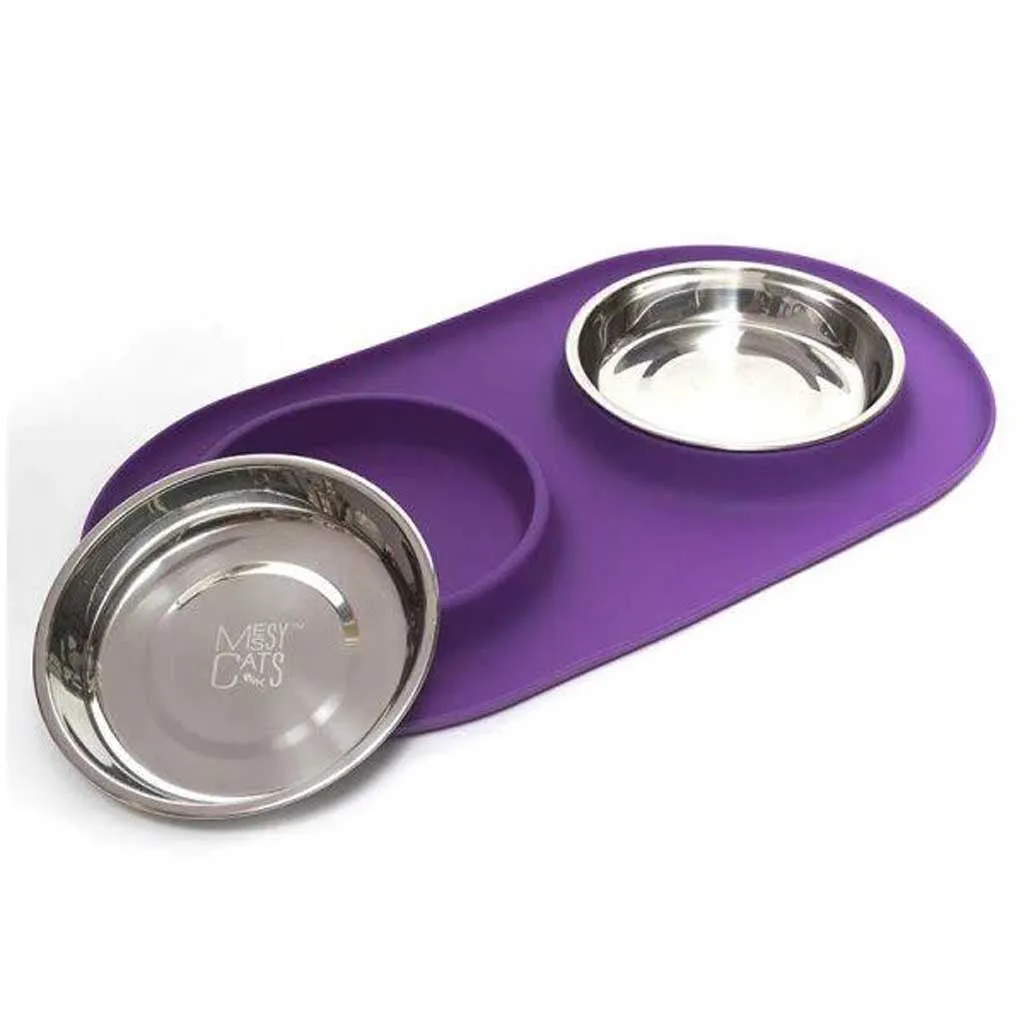 Double Silicone Feeder with Stainless Saucer Shaped Bowl