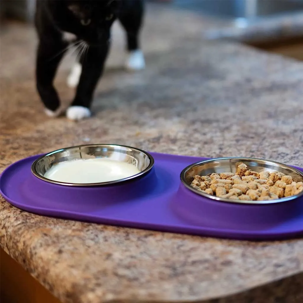 Double Silicone Feeder with Stainless Saucer Shaped Bowl