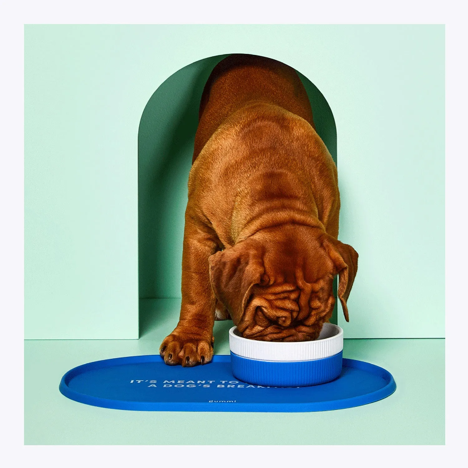 gummi SIlicone Feeding Mat
