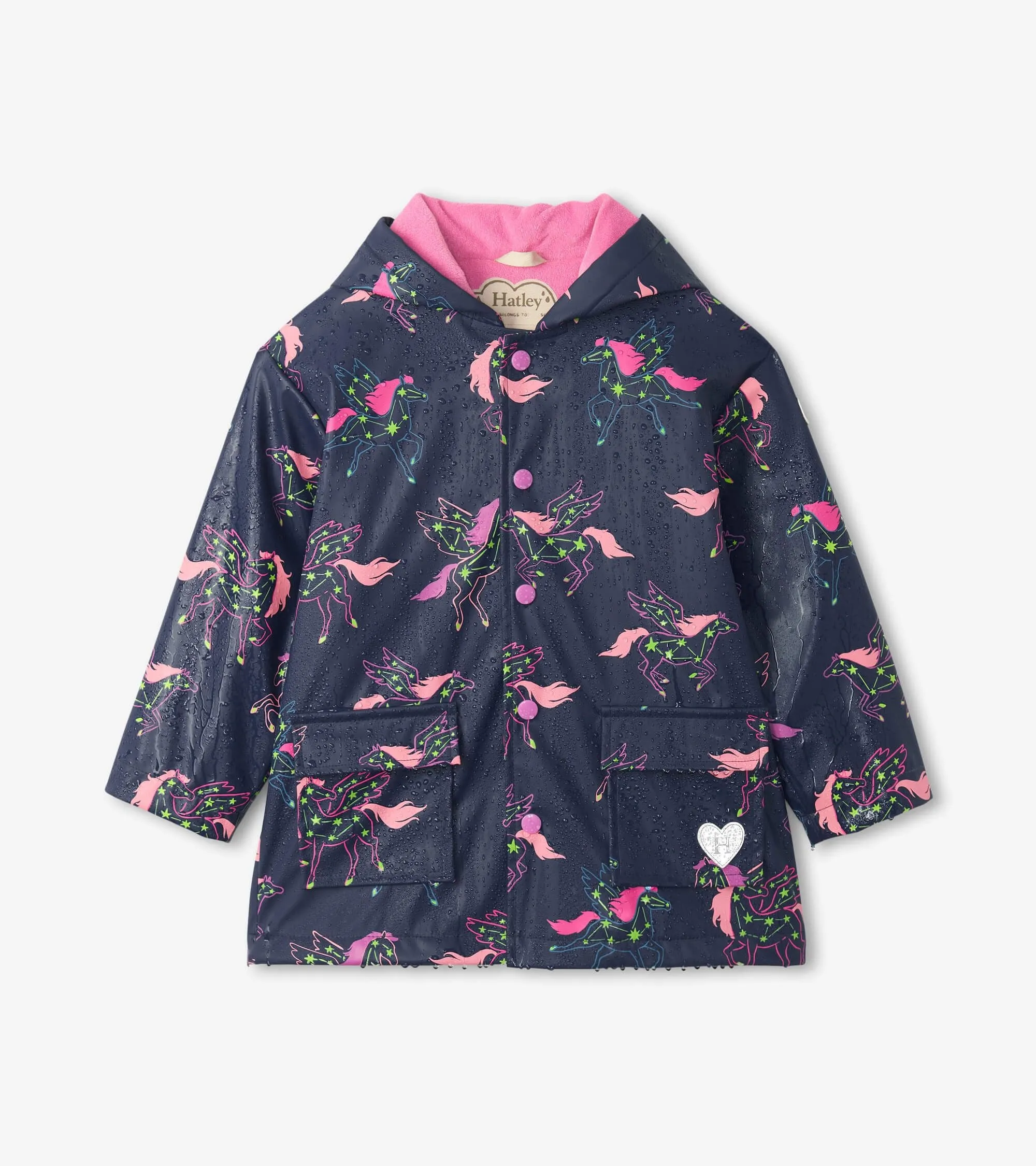 Hatley Pegasus Raincoat F22psk1336