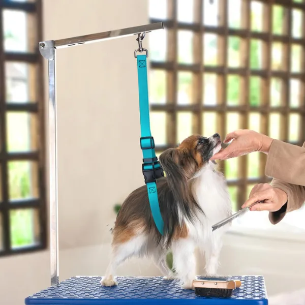 Jelly Pet Grooming Belly Loop [8 colours] ...