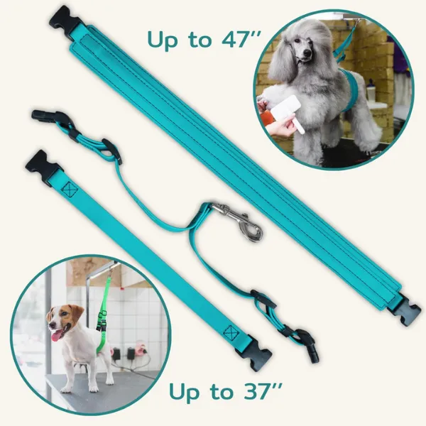 Jelly Pet Grooming Belly Loop [8 colours] ...