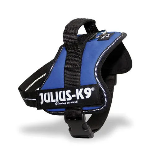 Julius-K9 Power Harness Blue