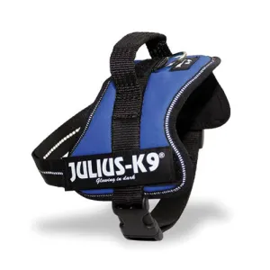 Julius-K9 Power Harness Blue