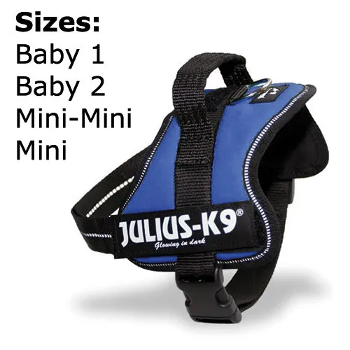 Julius-K9 Power Harness Blue