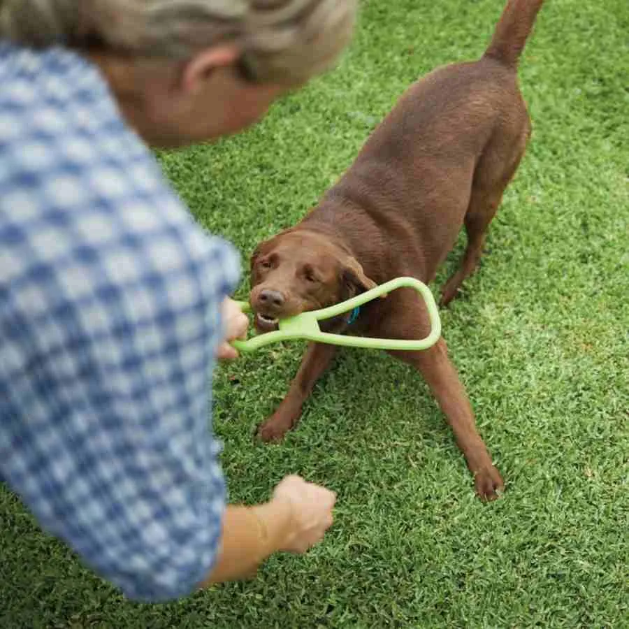 Kazoo Rubber Tug