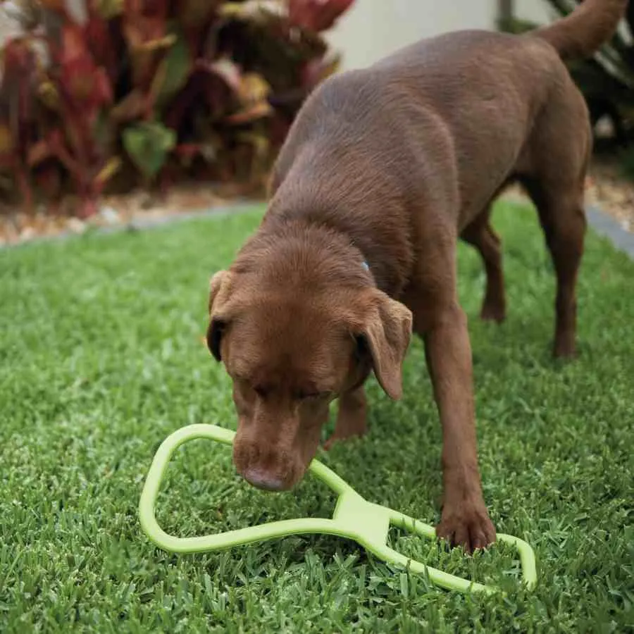 Kazoo Rubber Tug