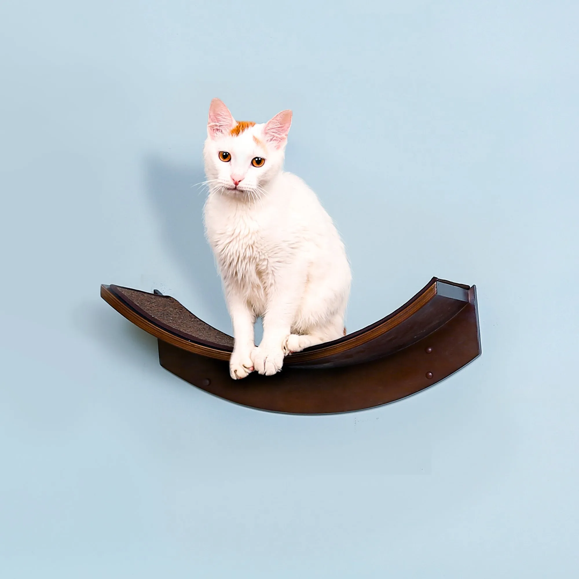 Lotus Leaf Cat Shelf