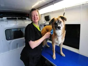 Mobile Pet Grooming Service Business Plan