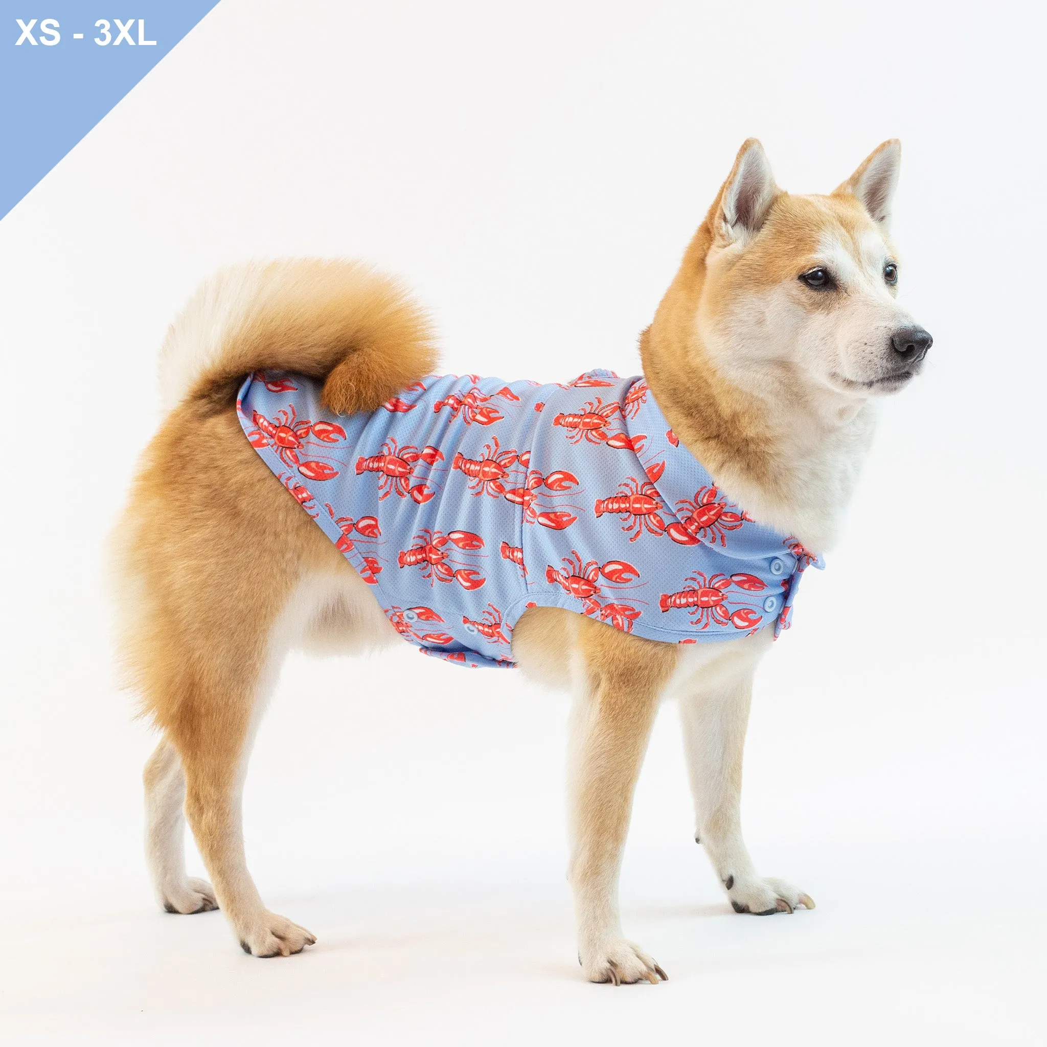 [RESTOCKED] LCB Newport Cooling Jacket