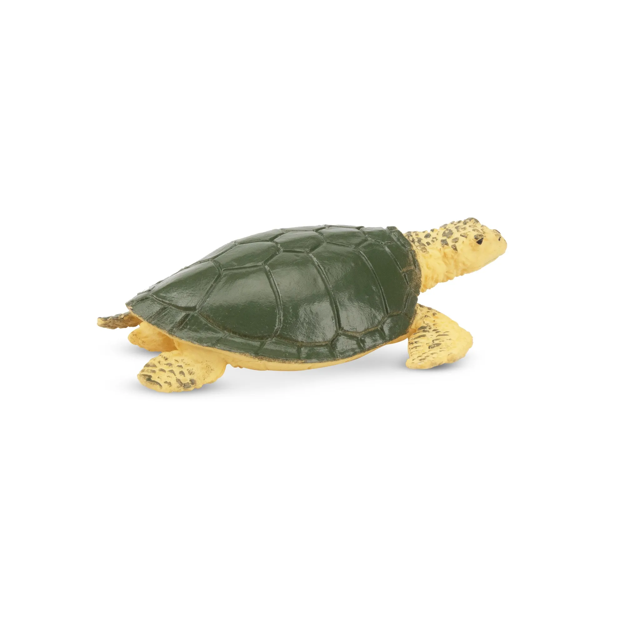 Toymany Sea Turtle Figurine Toy - Small Size