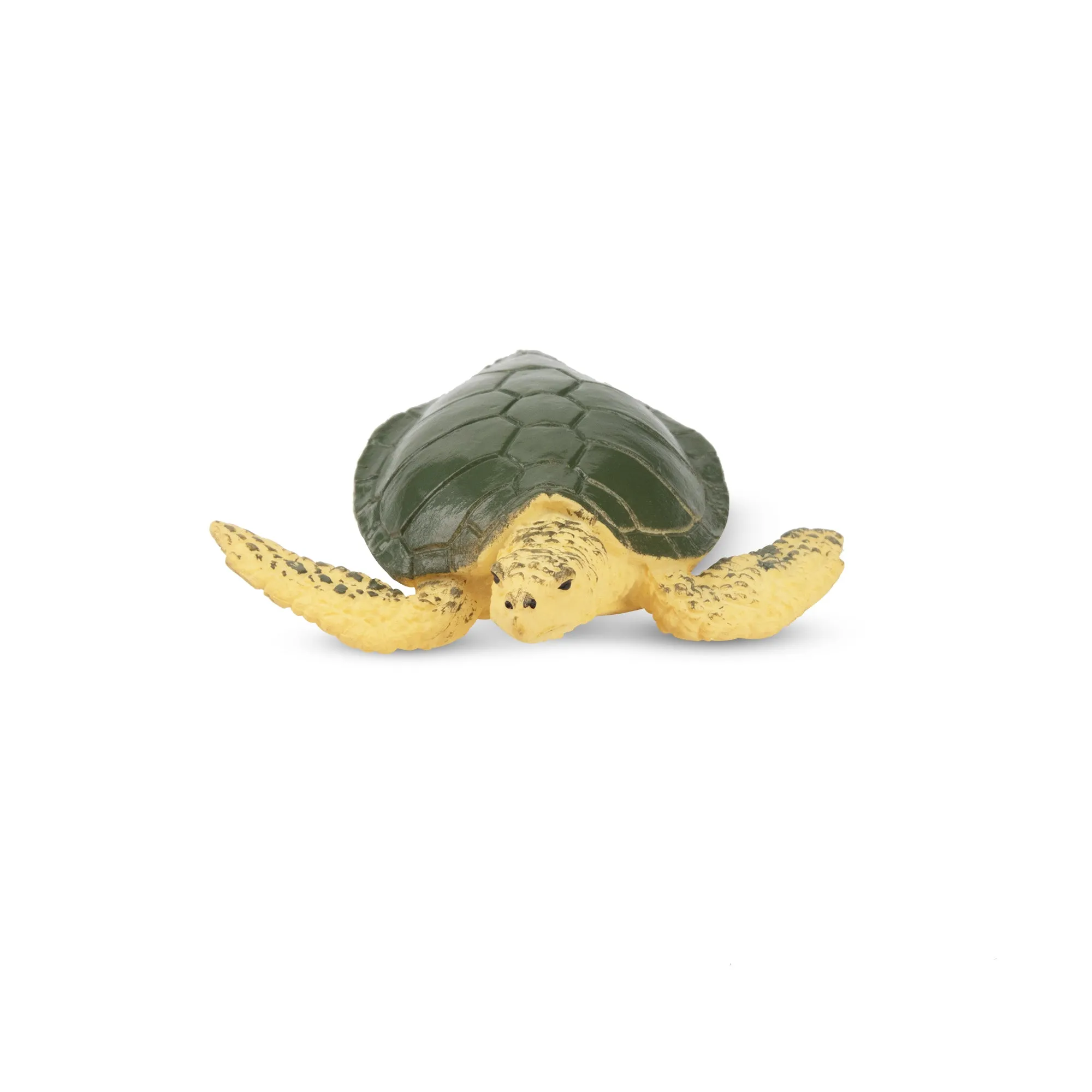 Toymany Sea Turtle Figurine Toy - Small Size