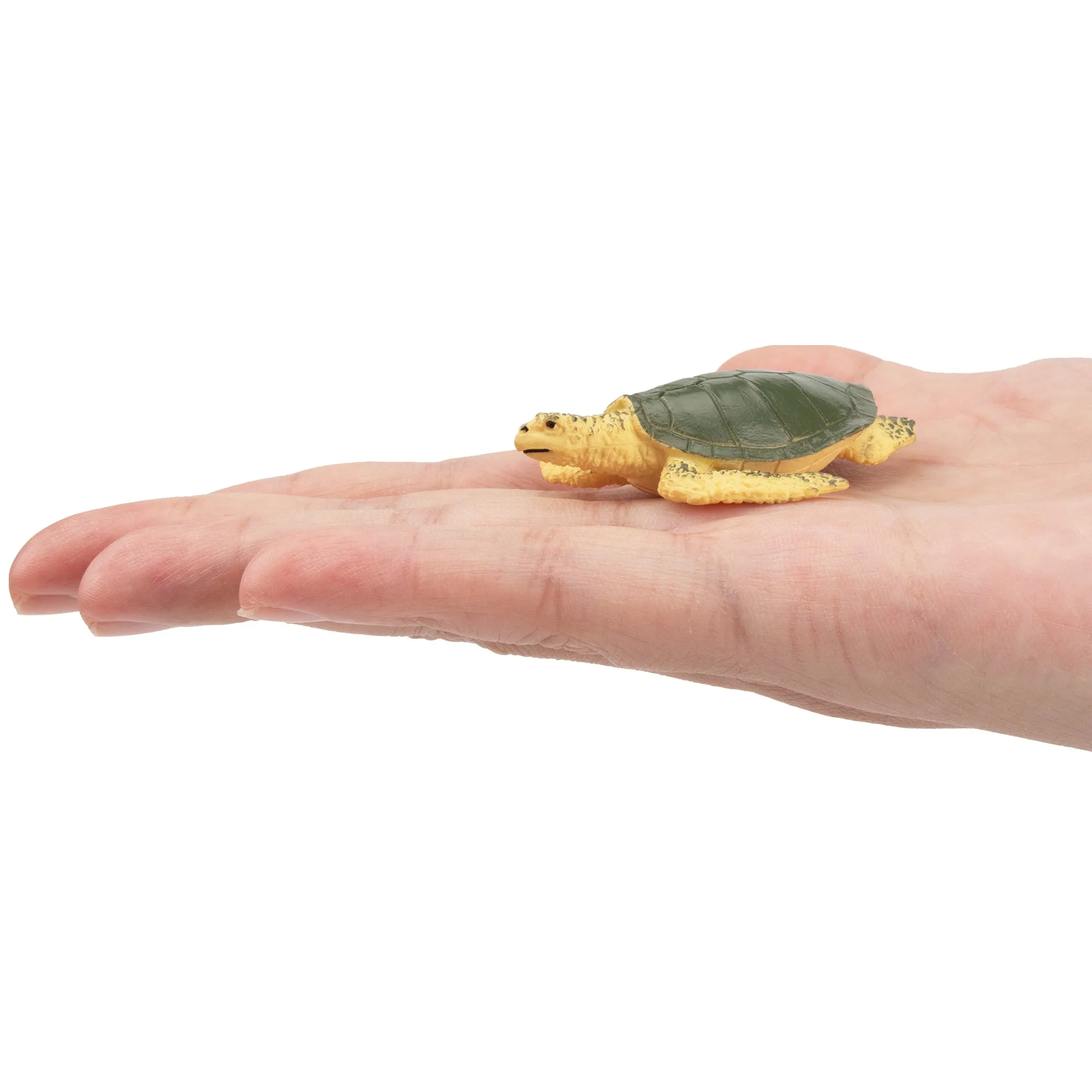 Toymany Sea Turtle Figurine Toy - Small Size